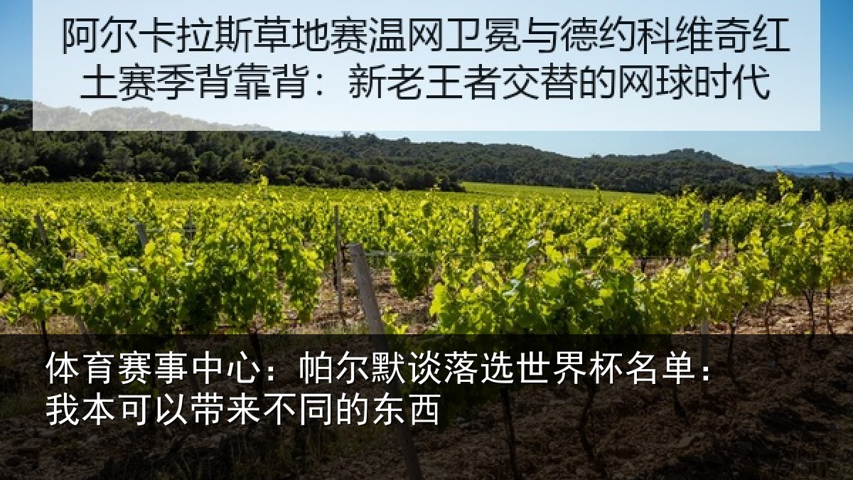 体育赛事中心：帕尔默谈落选世界杯名单：我本可以带来不同的东西